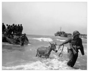 Desembarcando en Sicilia