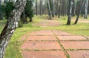 Fosas en el bosque de Katyn