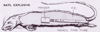Rata explosiva utilizada por el SOE