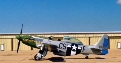 Mustang P-51 Galveston Gal