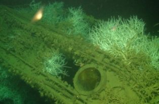 Tubos del periscopio del HMS SARACEN