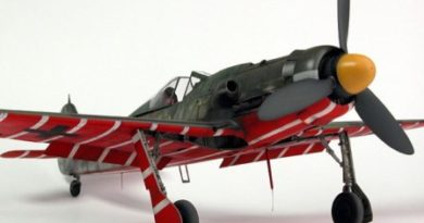 fw190d9 papagei staffel