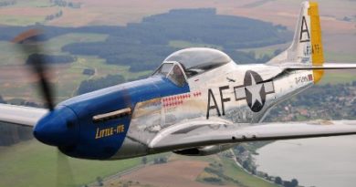 North-American-Mustang-P-51D Little Ite