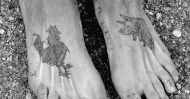 Sailor-tattoo-pig-rooster